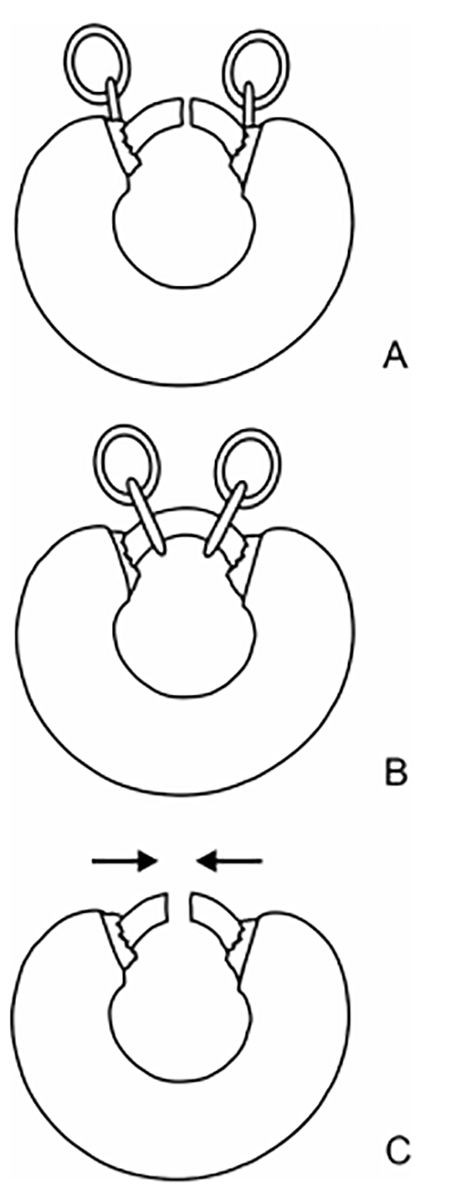 medium/medium-AESPA-95-e15-gf12.png
