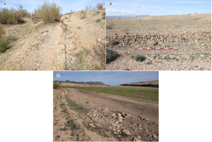 Restos de infraestructuras en Cortijo de las Cañas (A y B) y Cañada del Cortijillo (C) (fotografías A. López García).