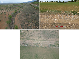 Restos cerca de Gor: Cañada Real de Lorca (A), Cuesta de Guadix (B y C) (fotografías A. López García).