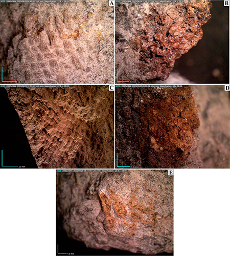Imágenes de los restos de tejidos identificados en el conjunto de Los Nietos mediante microscopía óptica de superficie: a) tejido de entramado liso 27-15-T1; B) tejido de entramado liso 27-19-T2; C) tejido de entramado liso 27-19-T1; D) sarga 27-13-T2; E) sarga 27-15-T2 (imágenes de los autores).