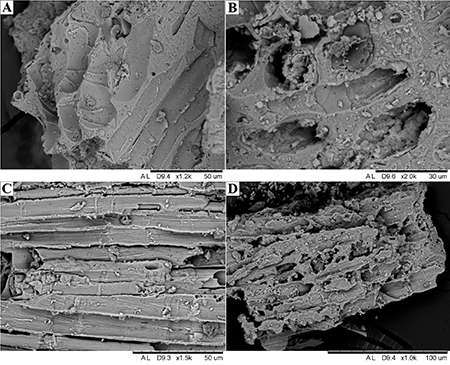 Materiales utilizados para la fabricación de determinados tejidos presentes en la necrópolis ibérica de Los Nietos, según microscopía electrónica de barrido: a) Lana, 27-24-T1; b) Lana, 27-15-T2; c) Fibra liberiana, lino, 27-15-T1; d) Fibras liberianas, lino, 27-19-T1 (imágenes de los autores).